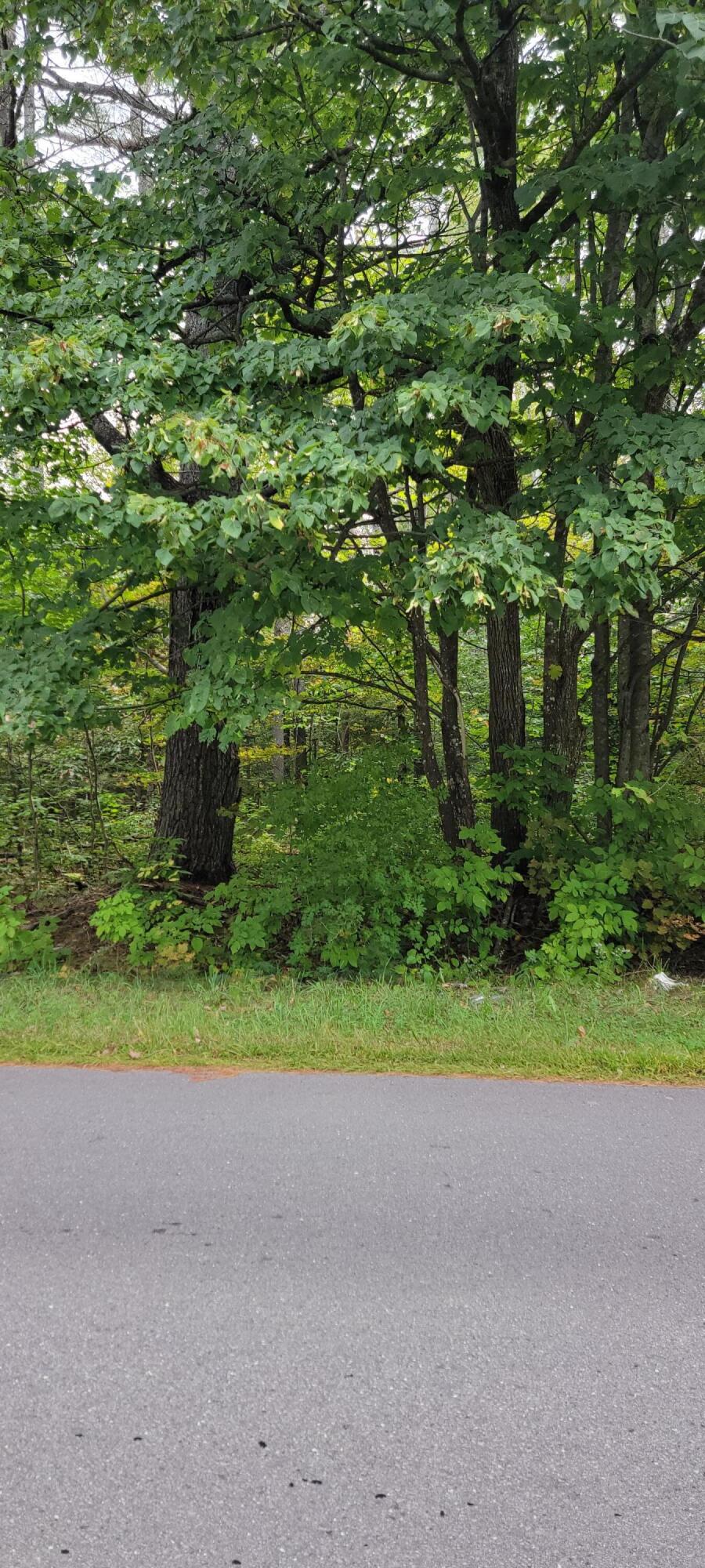 0 Foxcroft Center Road Dover-Foxcroft, ME 04426 - Photo 14 of 16 20230915_095803