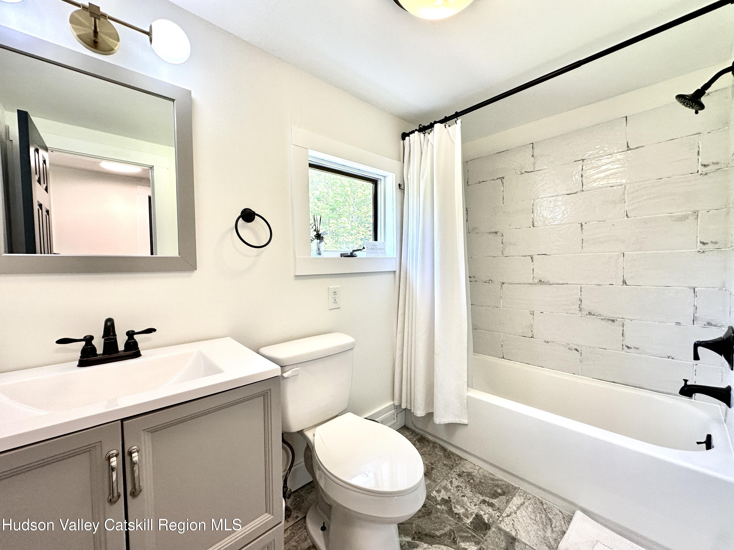 209 Griffin Road East Jewett, NY 12424 - Photo 22 of 34 a bathroom with a sink a toilet and a bathtub