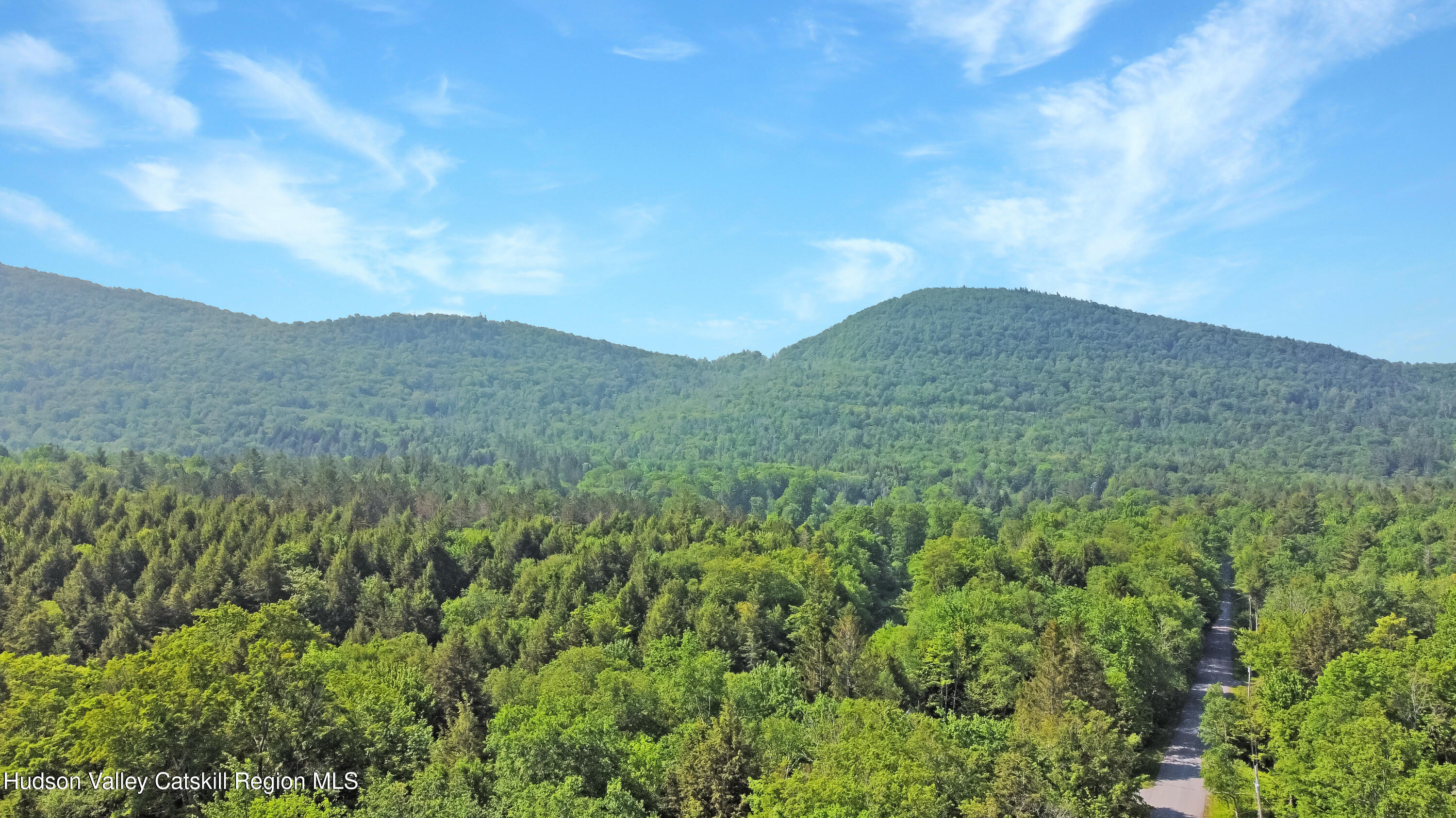 209 Griffin Road East Jewett, NY 12424 - Photo 31 of 34 a view of a mountain in the distance in a field