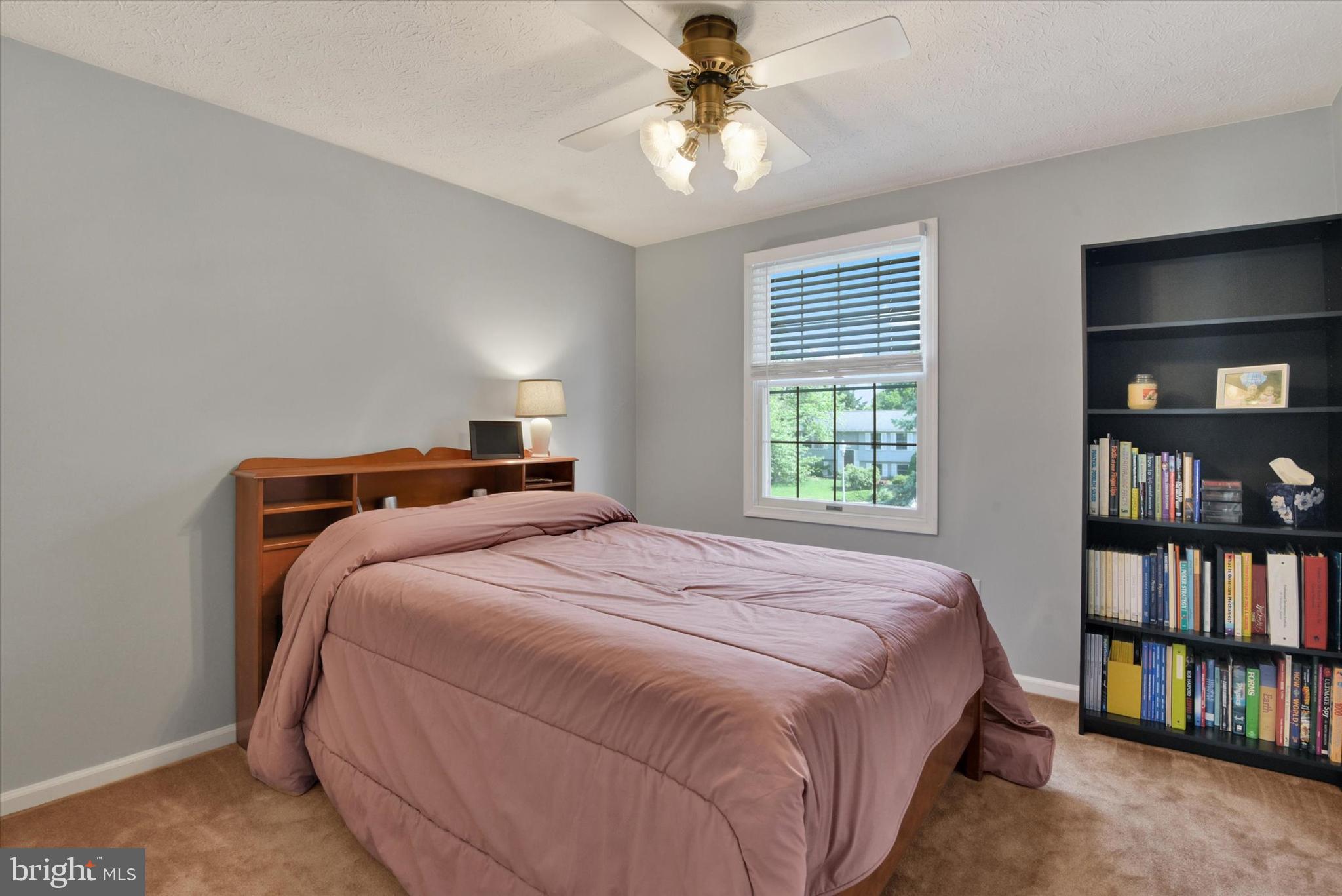 1324 Split Rail Lane Frederick, MD 21703 - Photo 18 of 30 Ceiling Fan and ample space