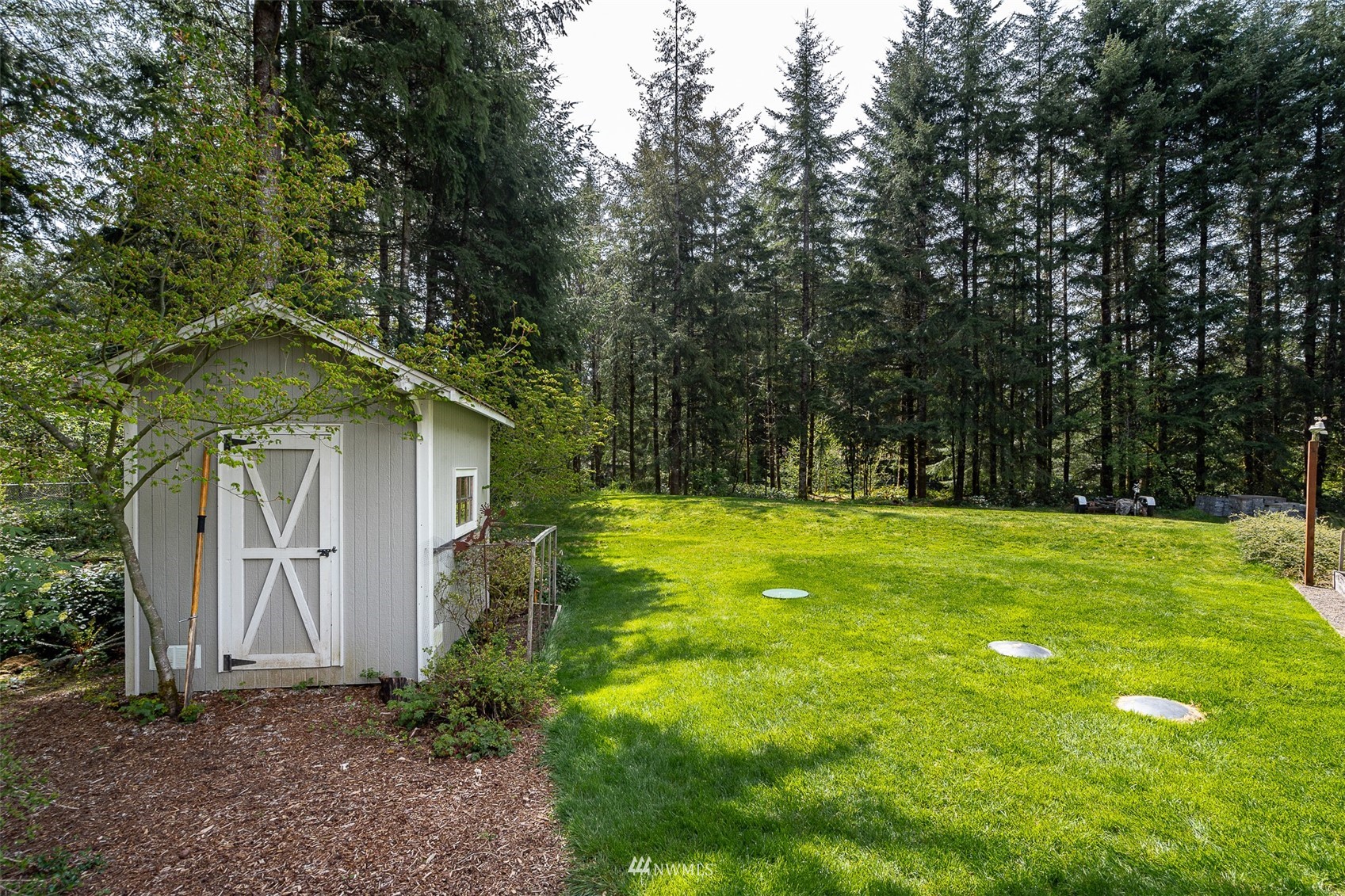 101-04 Hawkins Road Winlock, WA 98596 - Photo 15 of 40 a view of a yard with plants and large trees