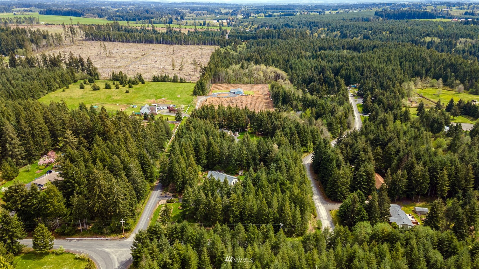 101-04 Hawkins Road Winlock, WA 98596 - Photo 9 of 40 a view of a garden with a lake