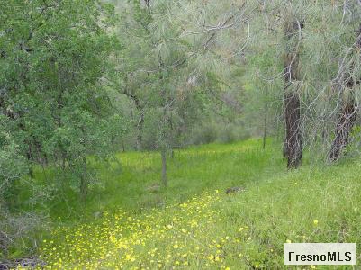 0 El Lado Road Friant, CA 93626 - Photo 2 of 5 Gallery Image 2