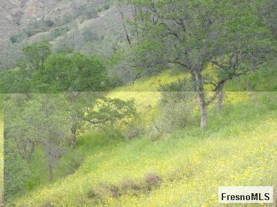 0 El Lado Road Friant, CA 93626 - Photo 4 of 5 Gallery Image 4