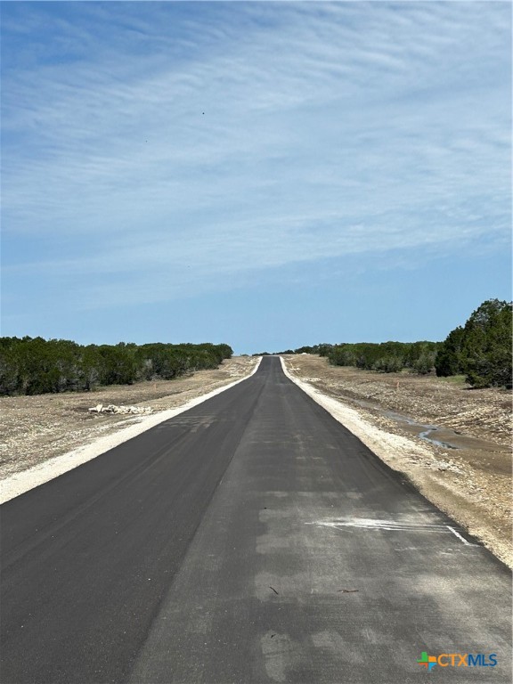 117 Cedar Bluff Loop Gatesville, TX 76528 - Photo 2 of 4