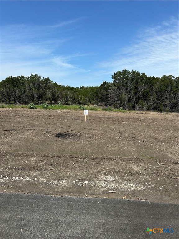 117 Cedar Bluff Loop Gatesville, TX 76528 - Photo 3 of 4