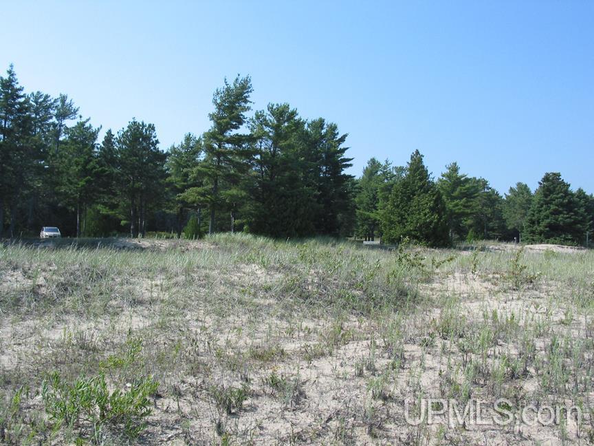 Tbd Thompson Trails Road, Unit PARCEL D Manistique, MI 49854 - Photo 7 of 13
