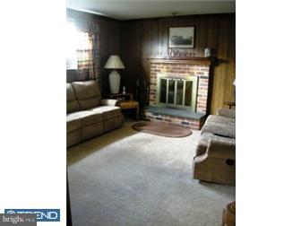 56 Heather Road Newark, DE 19702 - Photo 7 of 10 Fireplace