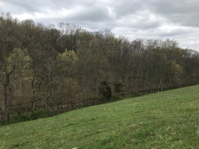 Menzie Bottoms Road Butler, KY 41006 - Photo 20 of 39 Gallery Image 20