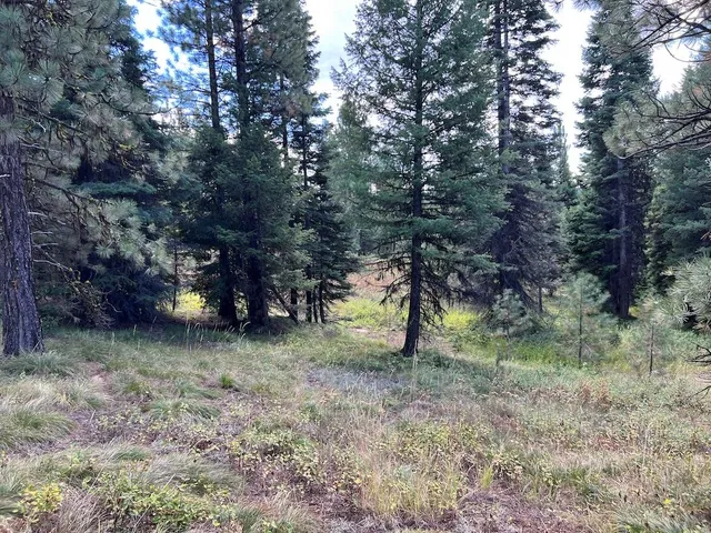 $275,000 | 4 Whitefield Lane, Unit 4, McCall, ID 83638