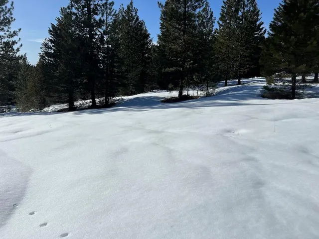 $275,000 | 4 Whitefield Lane, Unit 4, McCall, ID 83638