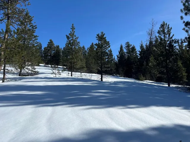 $275,000 | 4 Whitefield Lane, Unit 4, McCall, ID 83638