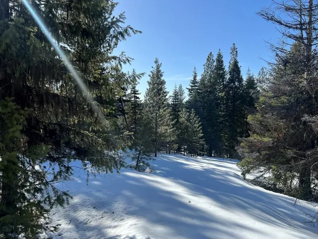 $275,000 | 4 Whitefield Lane, Unit 4, McCall, ID 83638