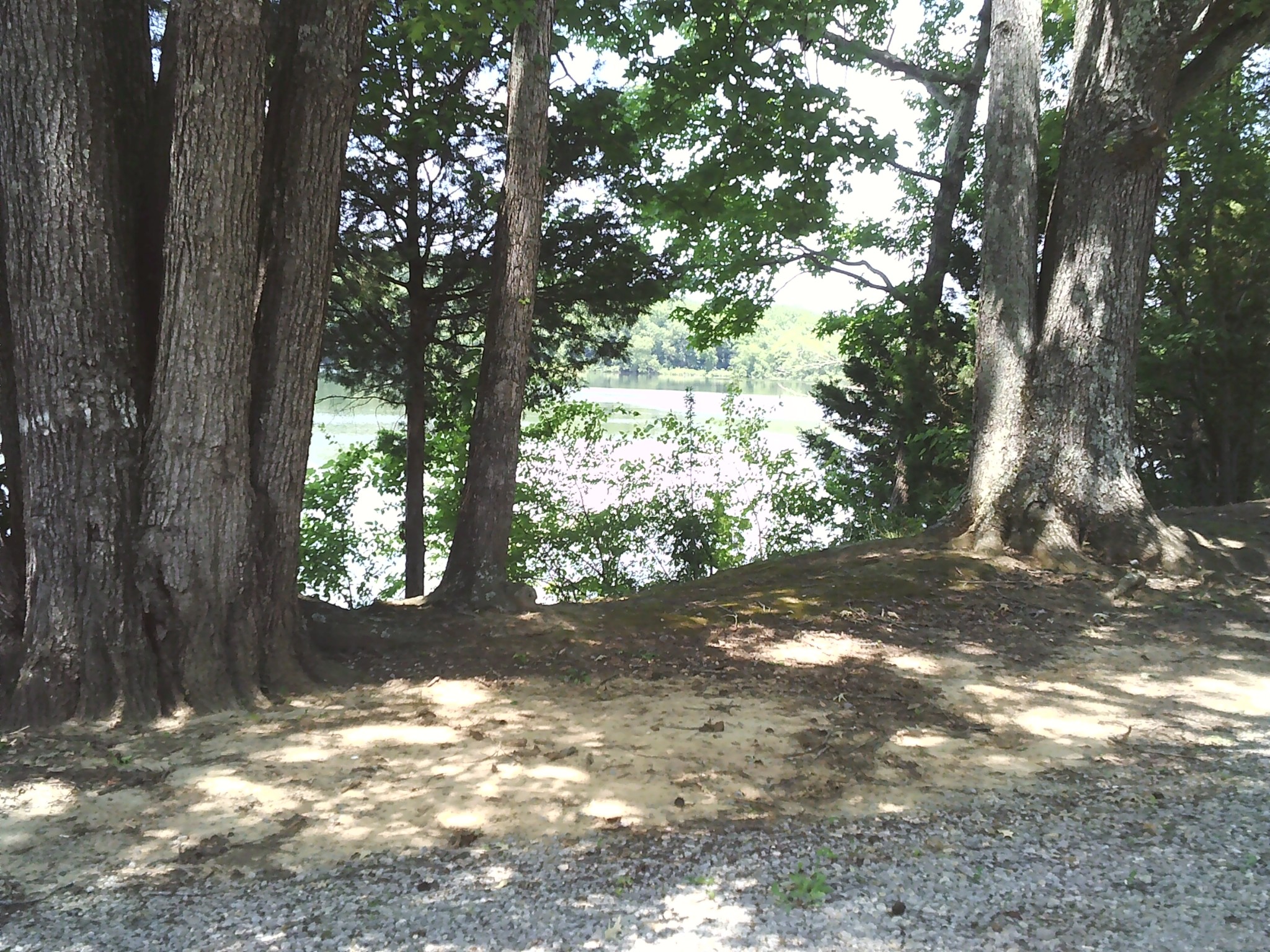 0 Hargis Road Bumpus Mills, TN 37028 - Photo 5 of 6