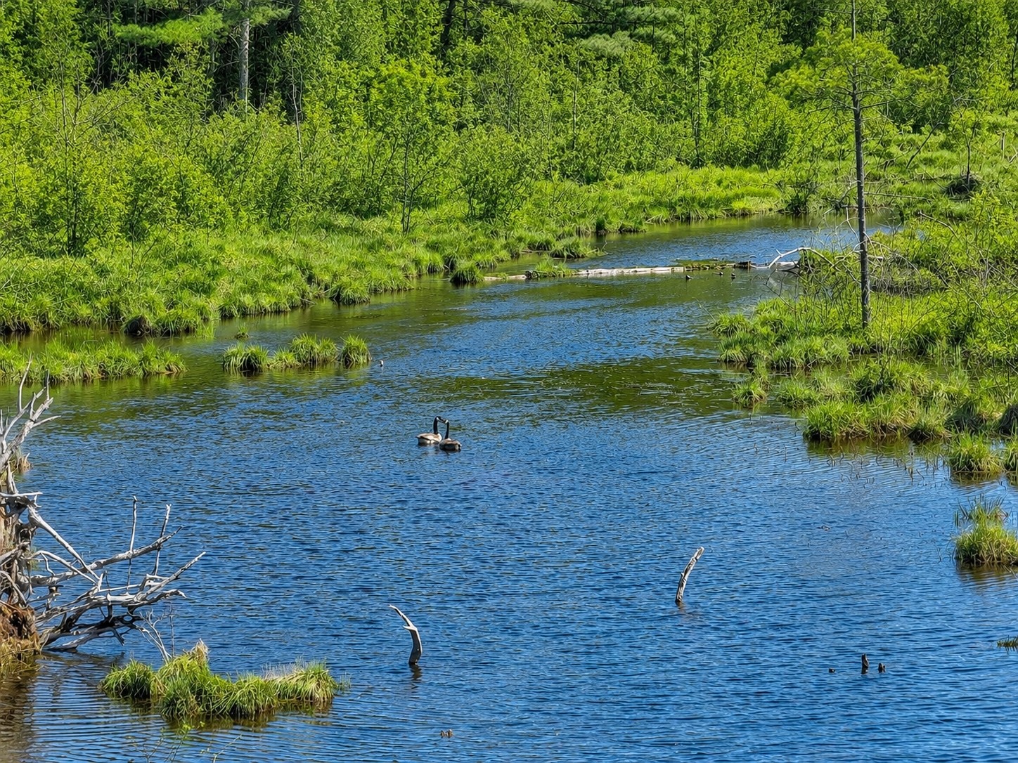 47660 North Diamond Lake Road Cable, WI 54821 - Photo 53 of 58