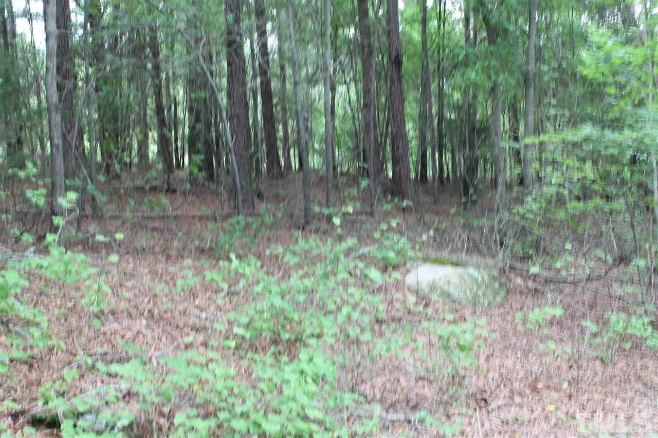 0 Houston Blalock Road Roxboro, NC 27574 - Photo 2 of 4 a view of backyard with green space