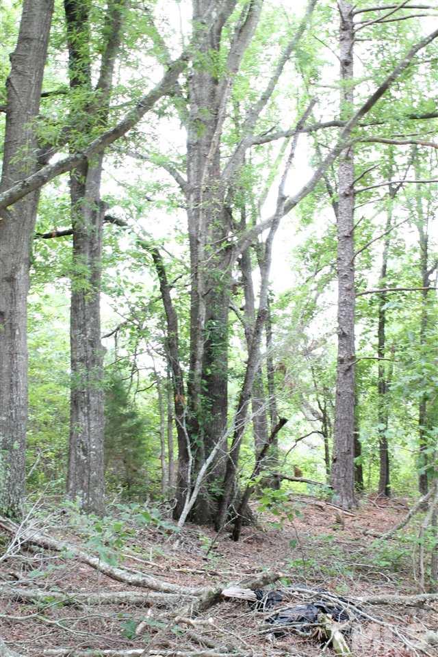 0 Houston Blalock Road Roxboro, NC 27574 - Photo 3 of 4 a backyard of a house
