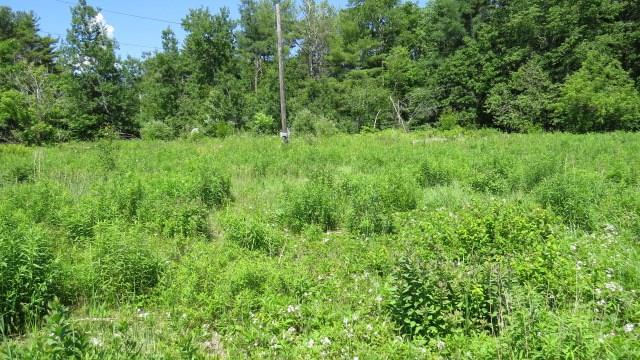 171 Red Bridge Road Ellsworth, ME 04605 - Photo 24 of 29 Photo