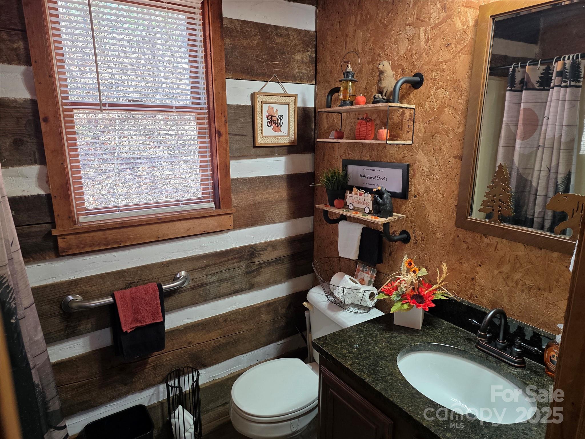 536 Hickory Springs Road Burnsville, NC 28714 - Photo 13 of 26 a bathroom with a sink vanity mirror and toilet