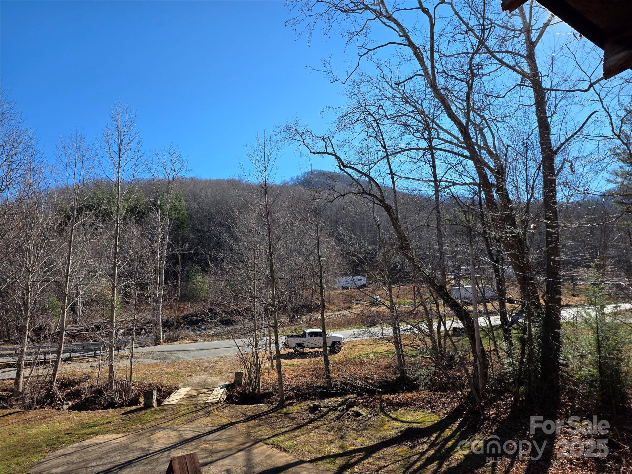 536 Hickory Springs Road Burnsville, NC 28714 - Photo 23 of 26 a view of a park with large trees