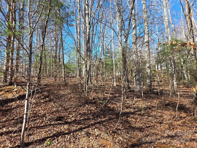 a view of a lake with a bench and trees
