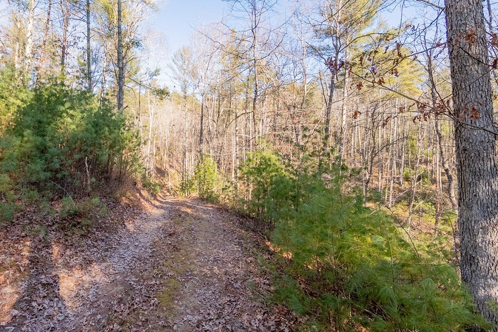 Tbd Kimberling Road, Unit 10A 10B2 Bland, VA 24315 - Photo 23 of 72 Gallery Image 23
