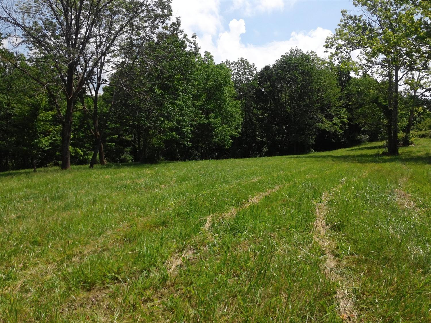 49 Hamilton Springs Road Lancaster, KY 40444 - Photo 8 of 23 Photo 8