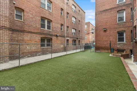 a view of a backyard with plants and large trees