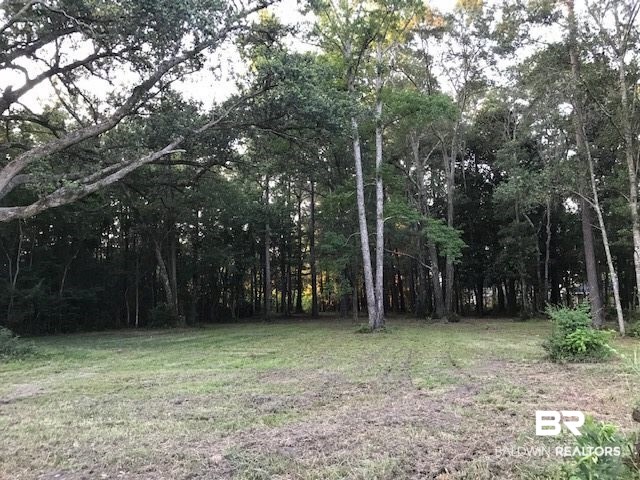 1 Styx River Road Stapleton, AL 36578 - Photo 9 of 11 Gallery Image 9