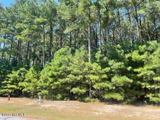 449 Riversound Drive Edenton, NC 27932 - Photo 5 of 12 RS449-4