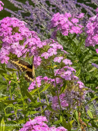 $825,000 | 26 Westbrook Terrace, Pittsfield, MA 01201