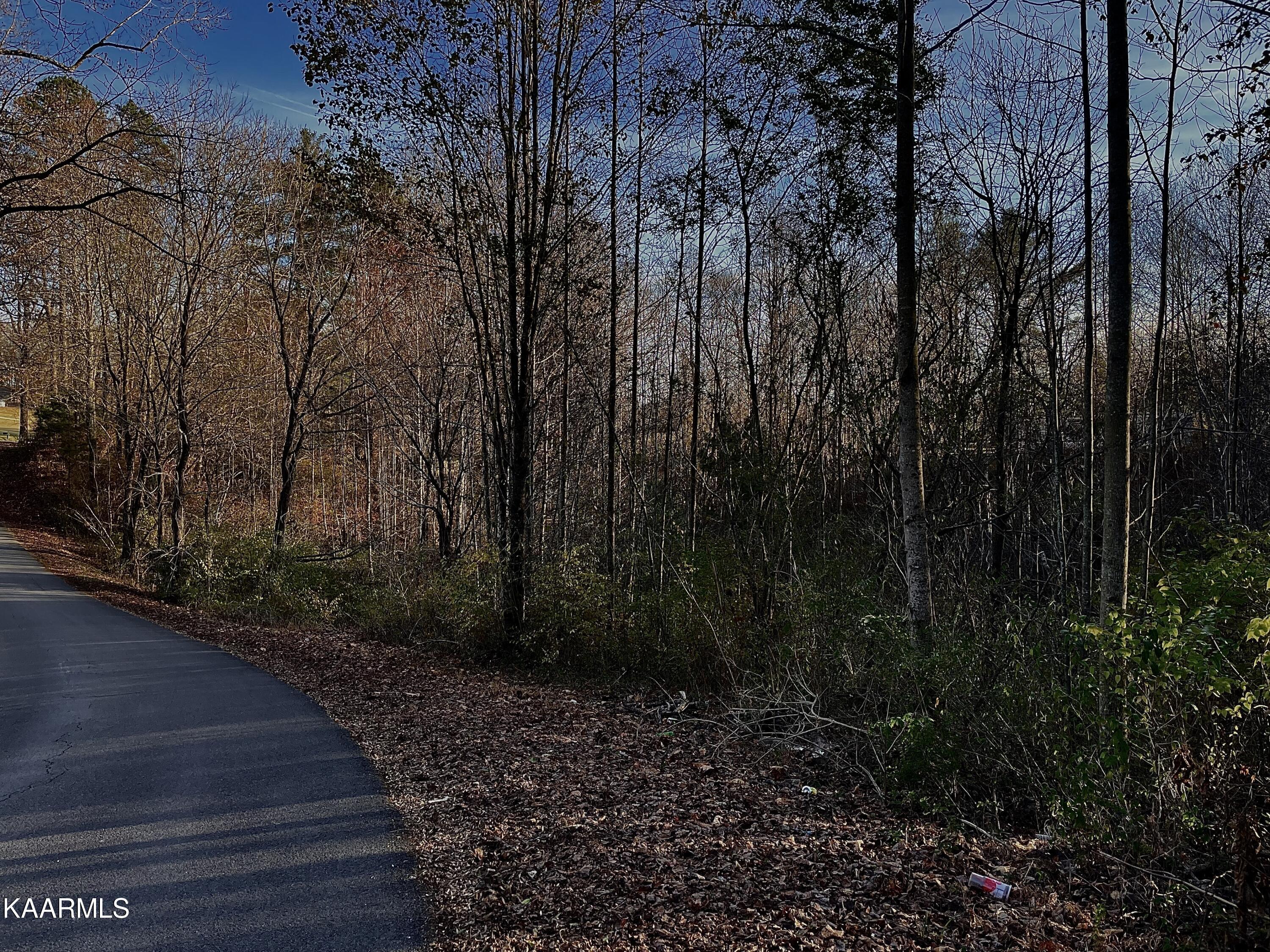 Ec Noe Road Oliver Springs, TN 37840 - Photo 1 of 18 0A6EDF52-E69E-4464-9C00-E553BEF2AA3C