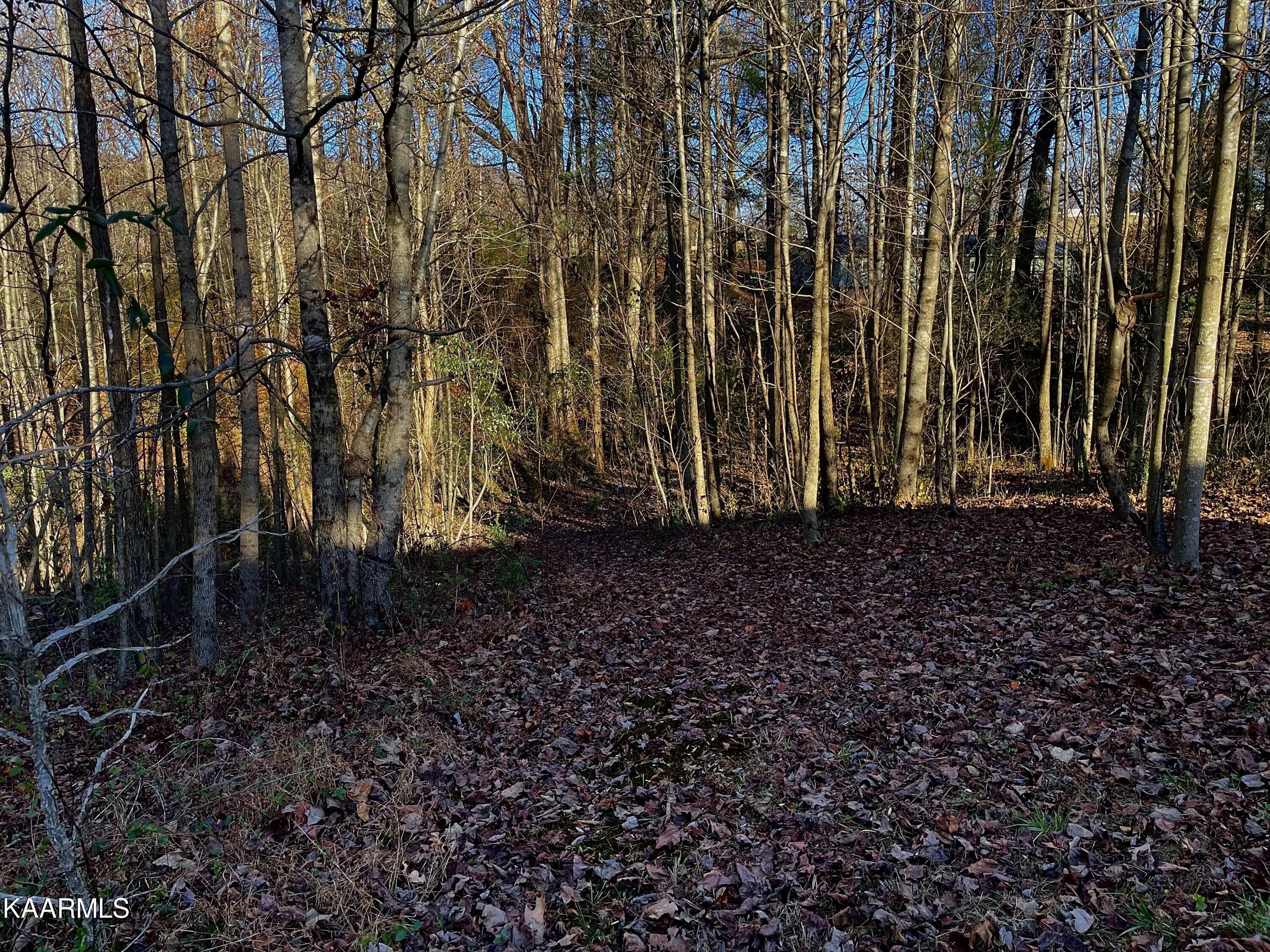 Ec Noe Road Oliver Springs, TN 37840 - Photo 11 of 18 81CD4836-A347-43D1-A5DA-BD1E68E2EEF4