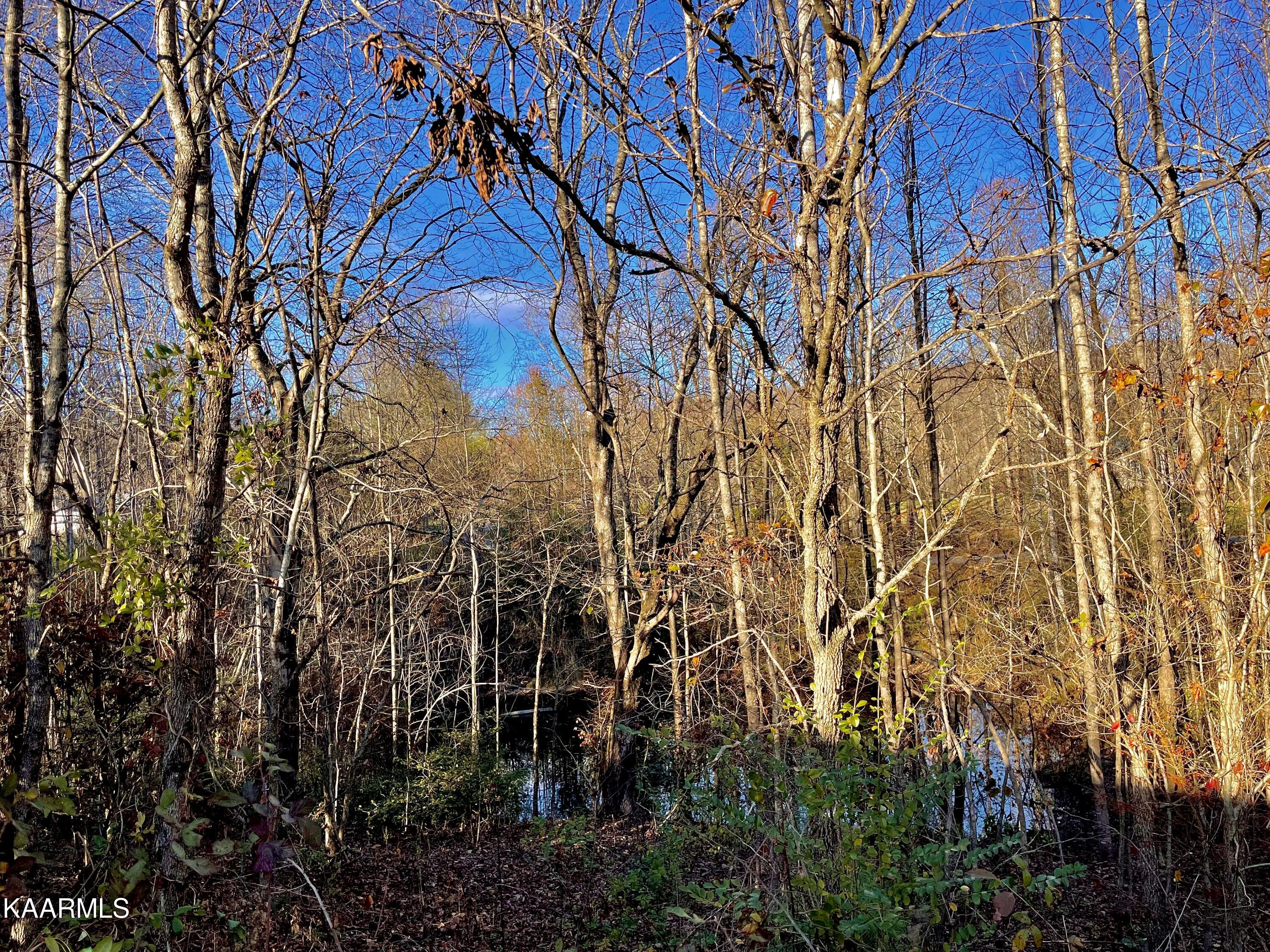 Ec Noe Road Oliver Springs, TN 37840 - Photo 12 of 18 95066785-E9C0-4149-9009-5E43E5CE4D61