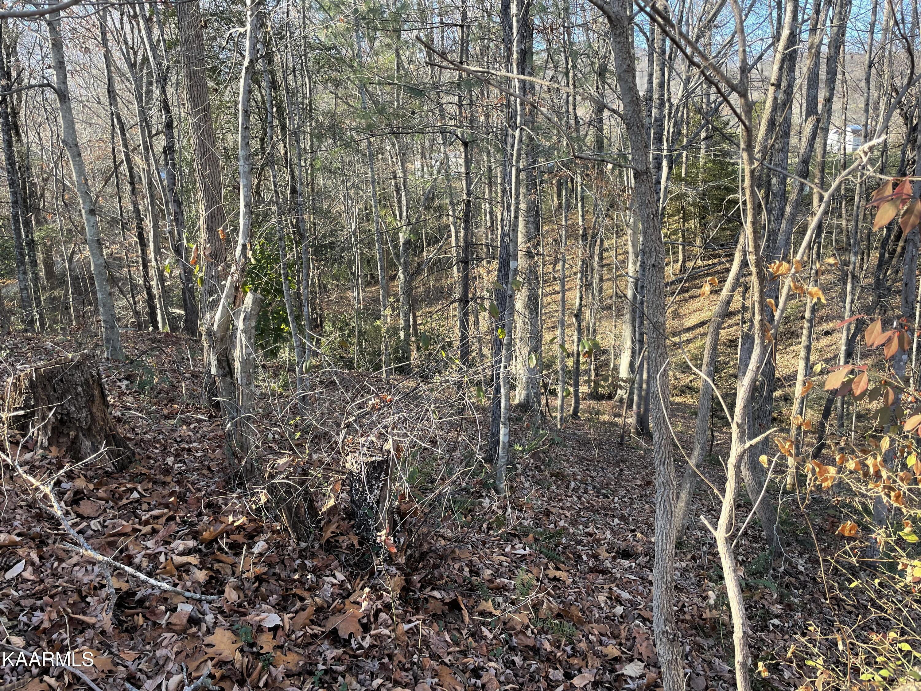 Ec Noe Road Oliver Springs, TN 37840 - Photo 14 of 18 FD2BFB20-2EAD-48E4-AFF3-739F1EBA1019