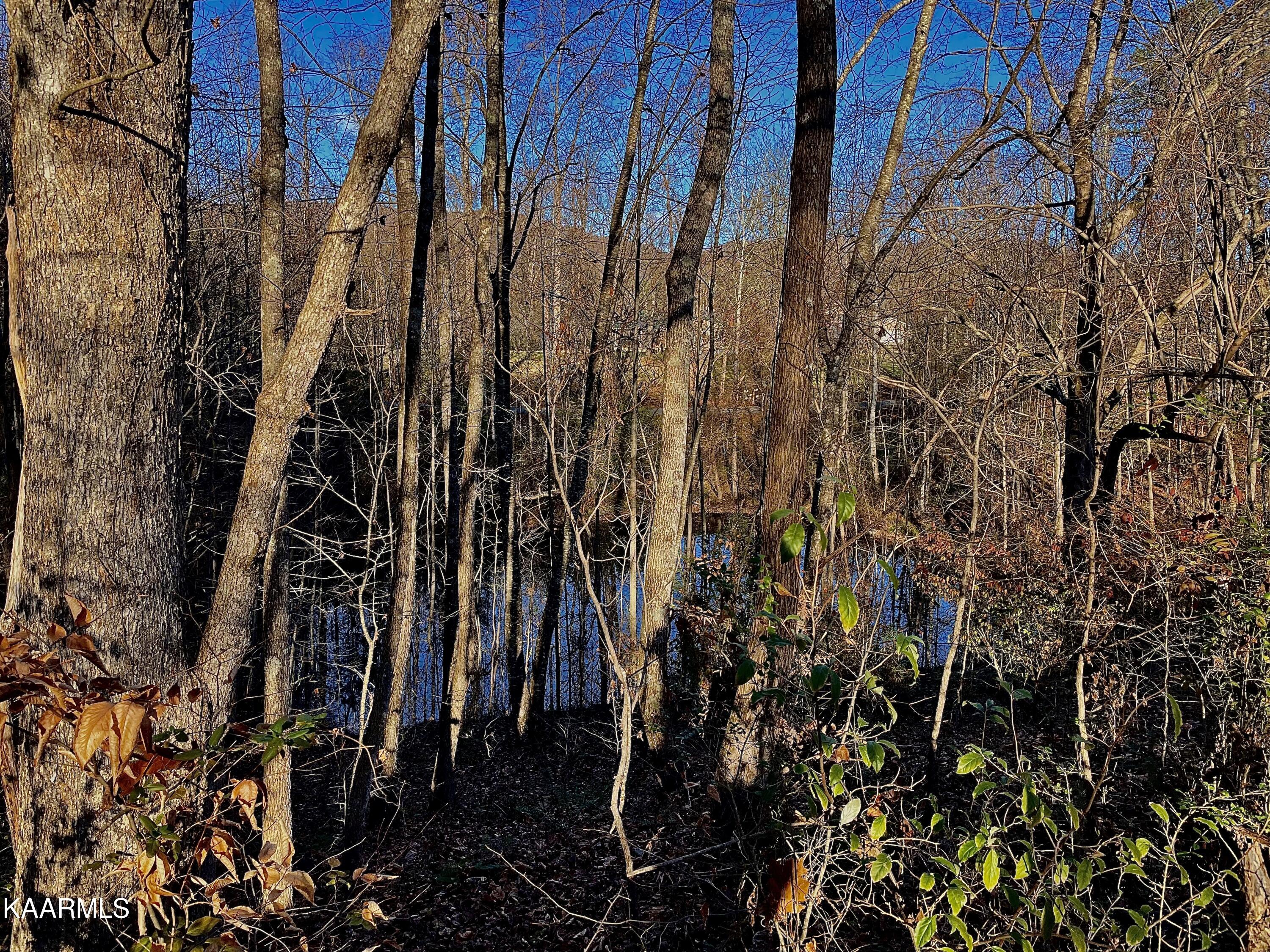 Ec Noe Road Oliver Springs, TN 37840 - Photo 15 of 18 EFD56569-9ACB-4572-8982-1050CECB4D5D