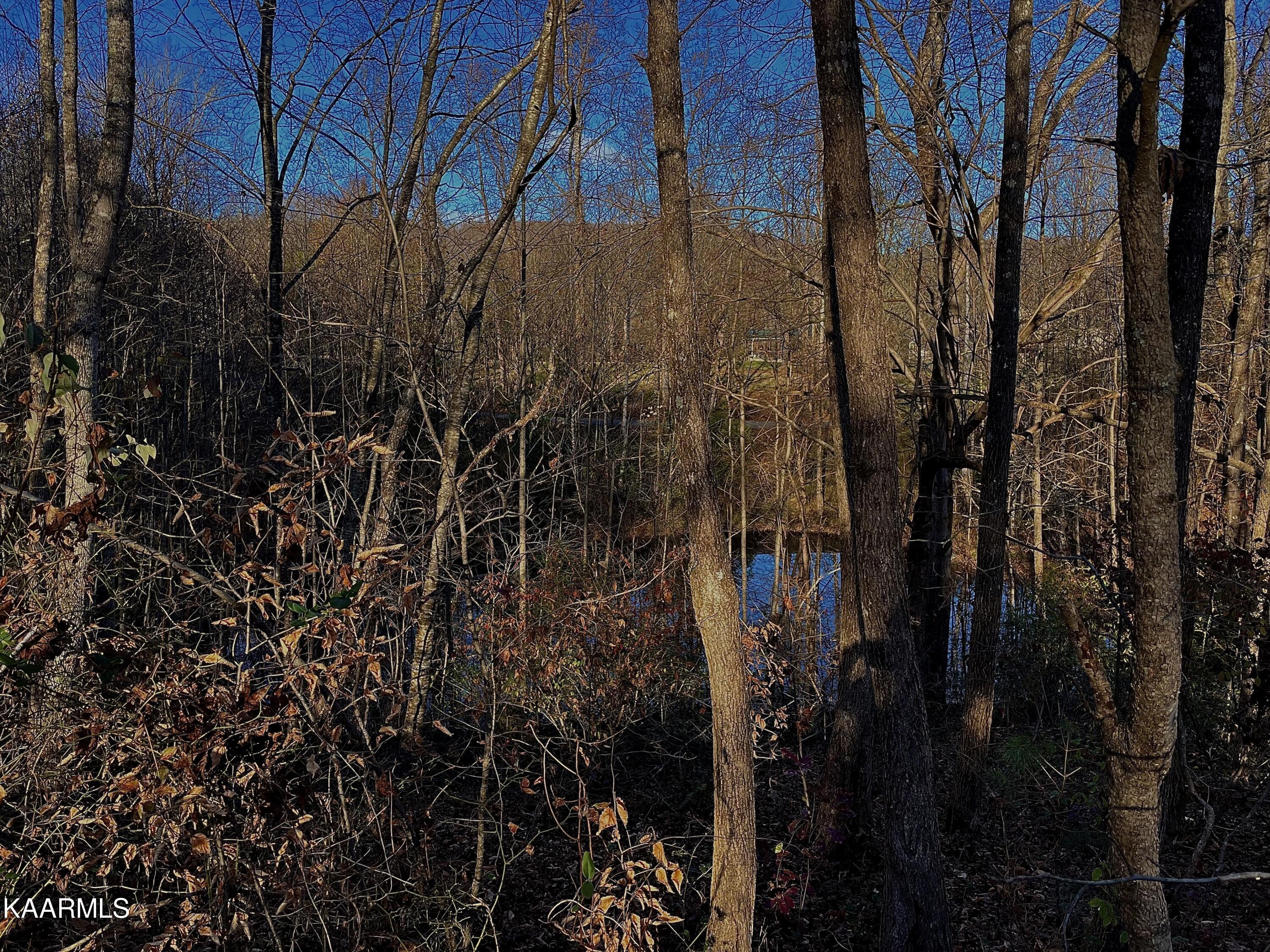 Ec Noe Road Oliver Springs, TN 37840 - Photo 16 of 18 313CCC14-17FF-4FB9-AB68-1E204CD6D8F5