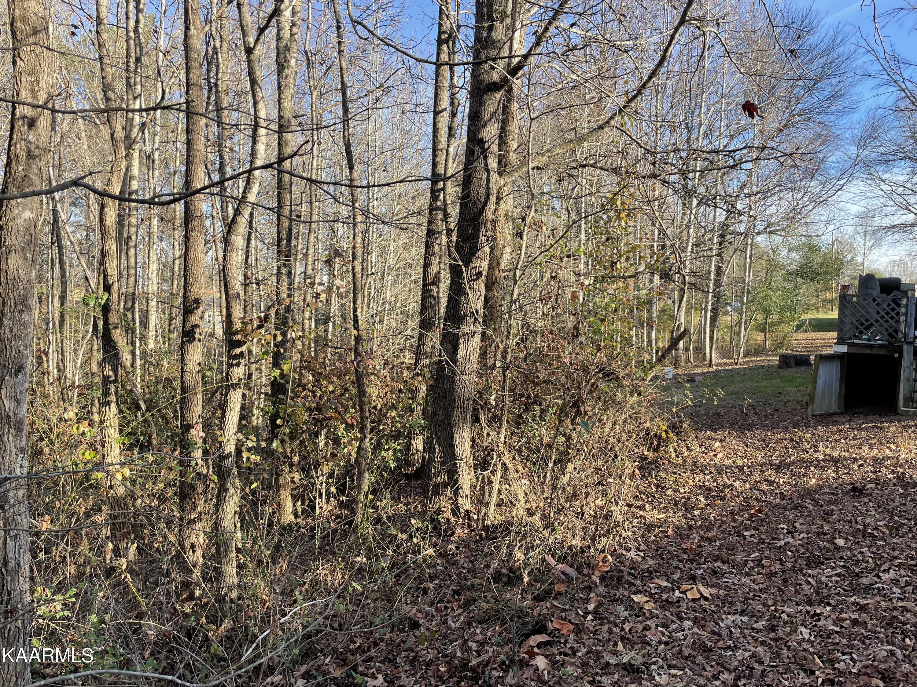 Ec Noe Road Oliver Springs, TN 37840 - Photo 17 of 18 06B81547-4707-4C57-A0B5-5CAA4B64EA20