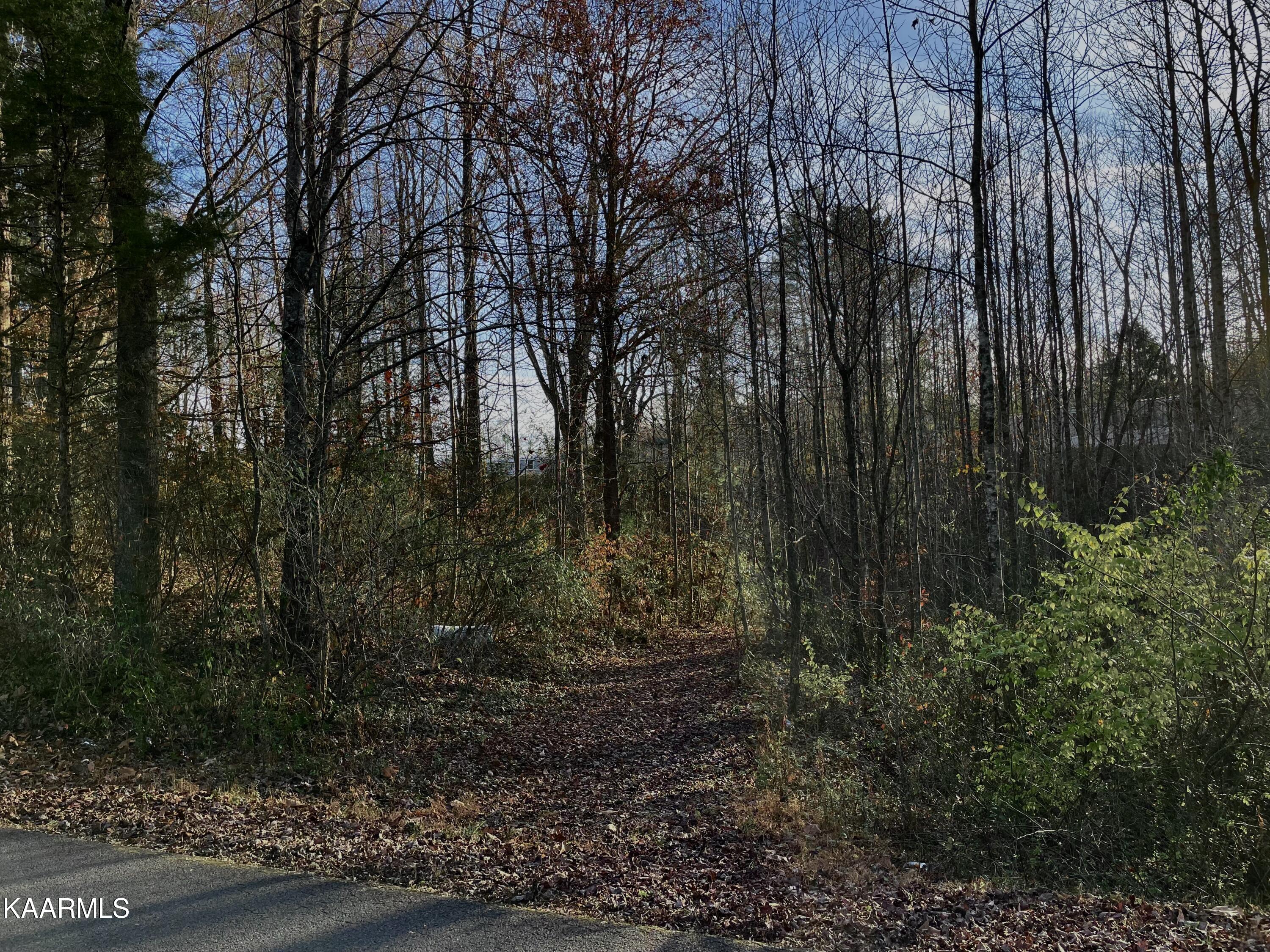 Ec Noe Road Oliver Springs, TN 37840 - Photo 2 of 18 6CAA228F-6B1B-4D1E-97F3-EBEB041CD03E