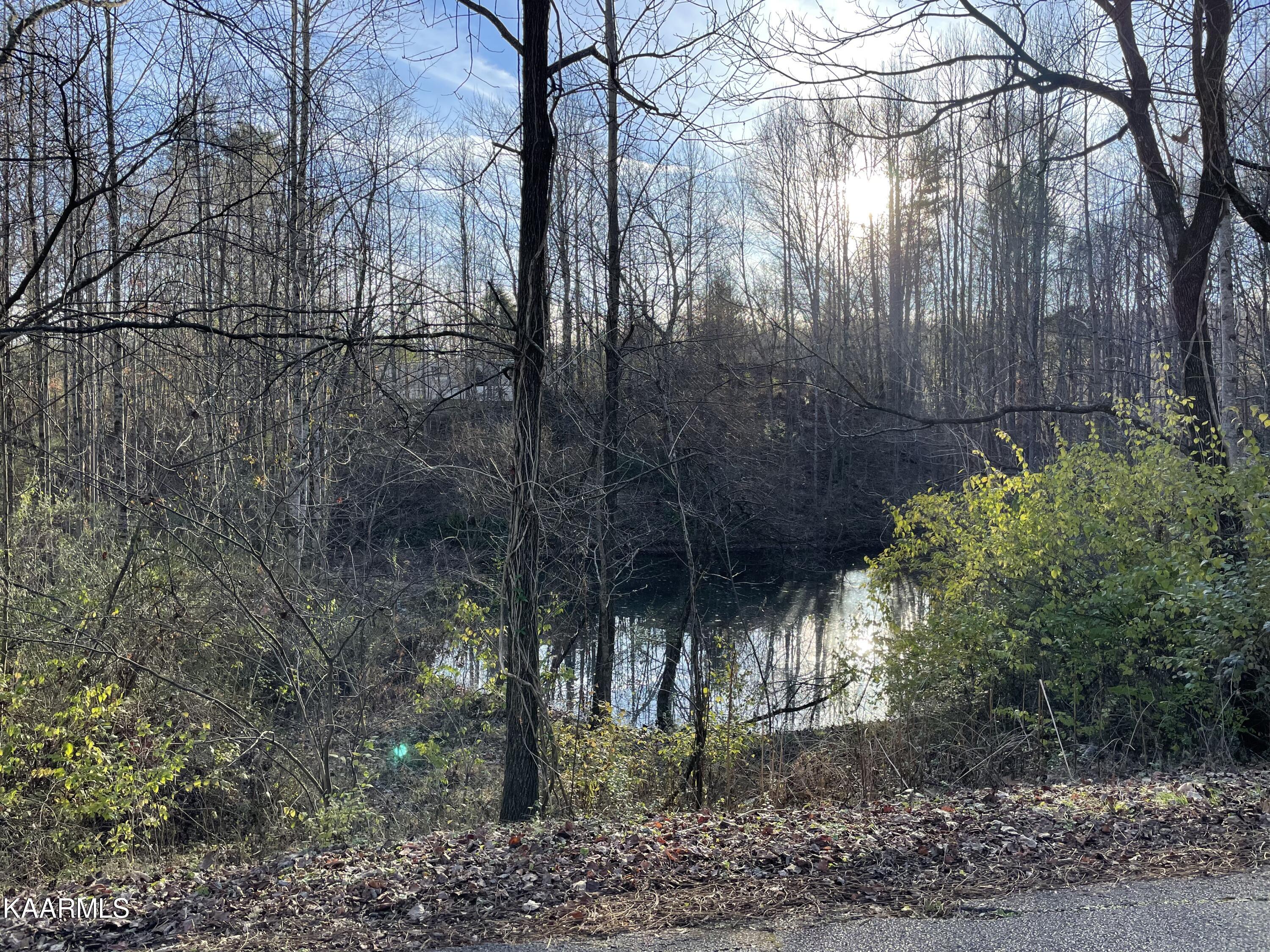 Ec Noe Road Oliver Springs, TN 37840 - Photo 3 of 18 D2543CA2-0C2D-4A65-9DEA-26297D80EC77