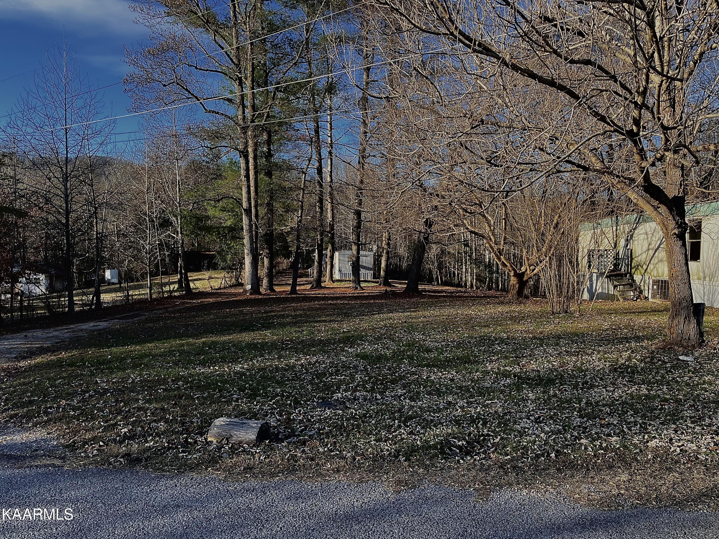 Ec Noe Road Oliver Springs, TN 37840 - Photo 6 of 18 0A075B4E-9D09-43E0-858C-79121B557964