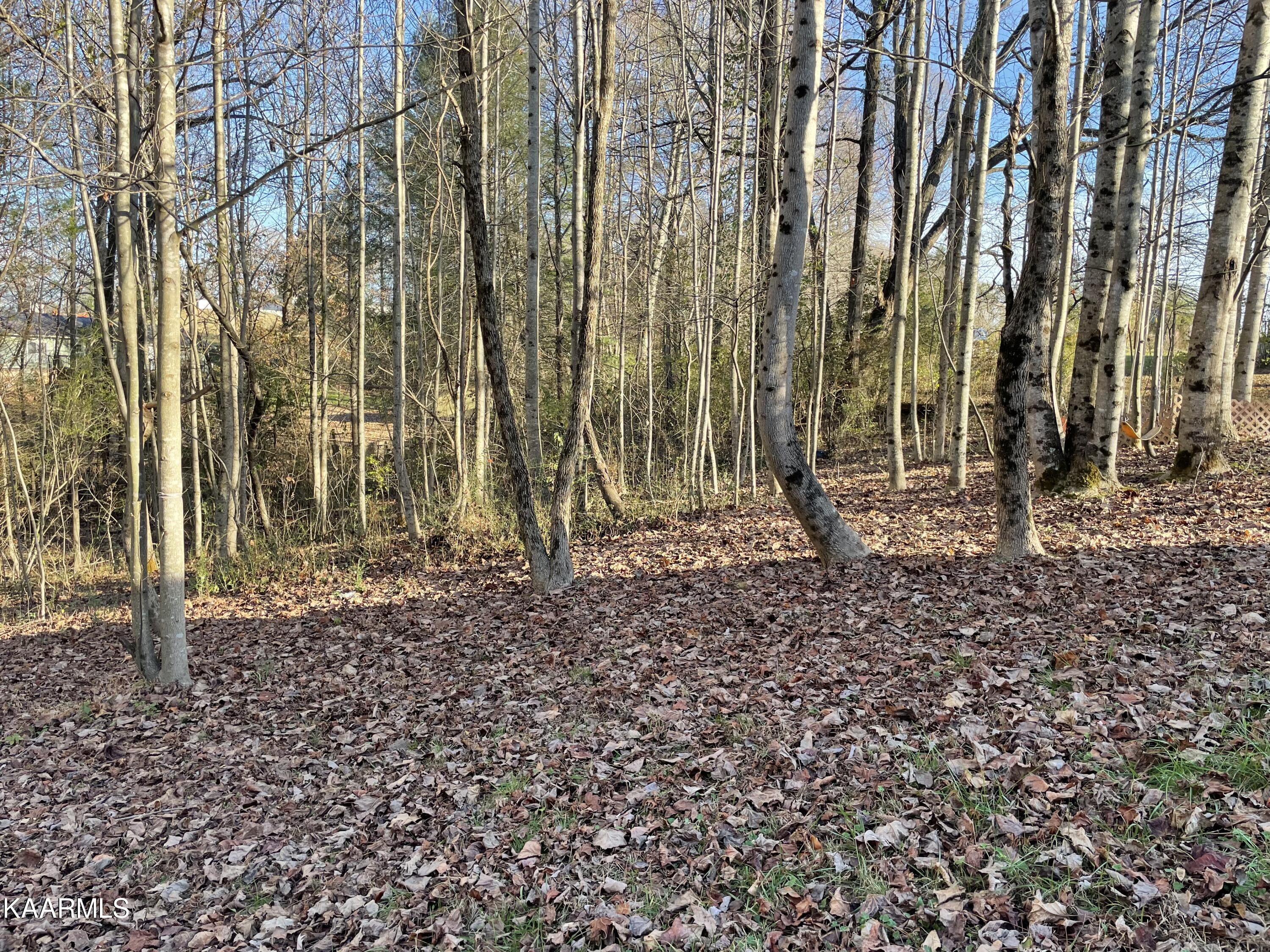 Ec Noe Road Oliver Springs, TN 37840 - Photo 10 of 18 B97A71C0-B6DF-4EC6-AA04-B9B6363486A5
