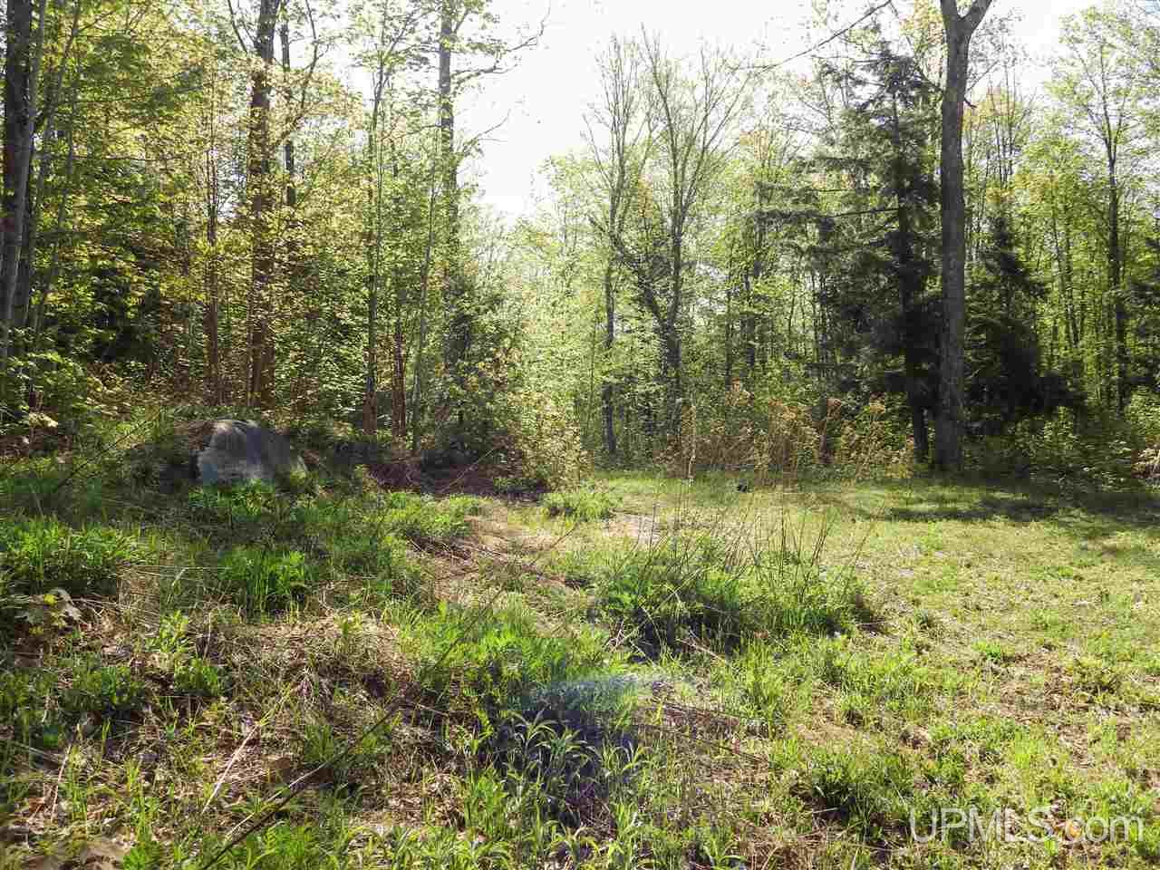 30 Acres Off Grove Street Marquette, MI 49855 - Photo 14 of 22