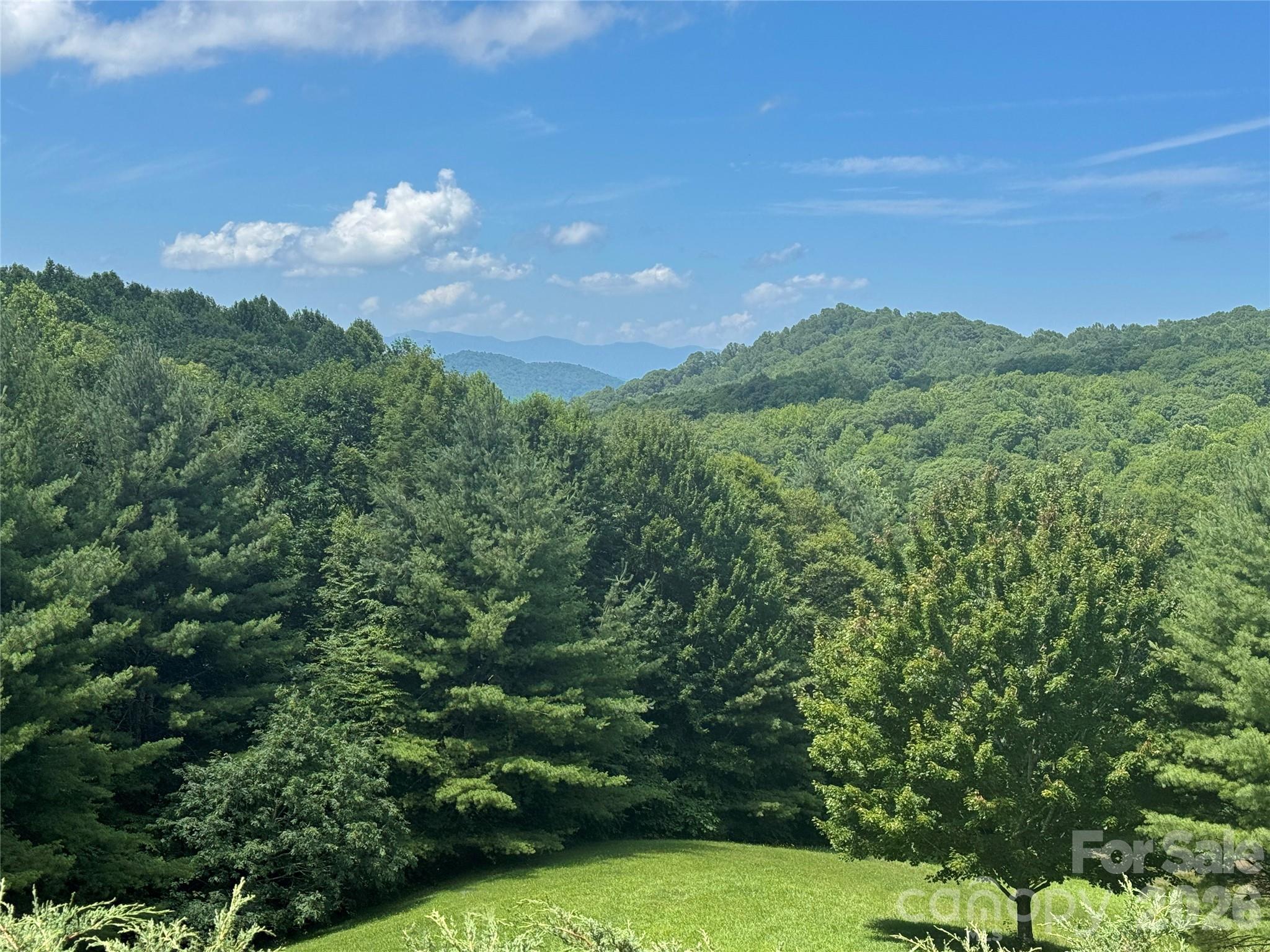 299 Basswood Road Hot Springs, NC 28743 - Photo 2 of 47