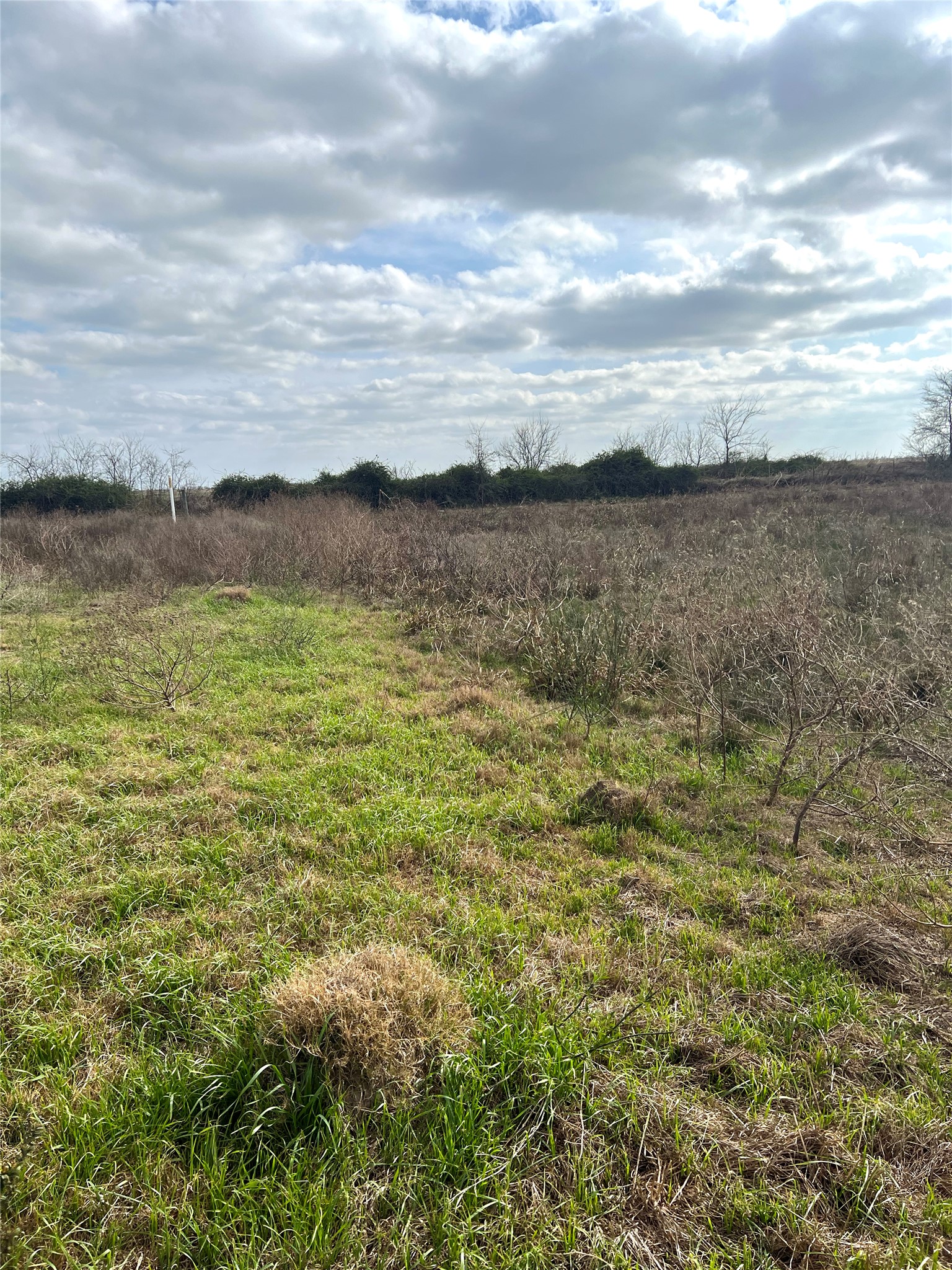 Tbd Lot 2 Tbd Road Eagle Lake, TX 77434 - Photo 5 of 24 Expansive open field with varied ground cover, featuring areas of green grass and dormant vegetation
