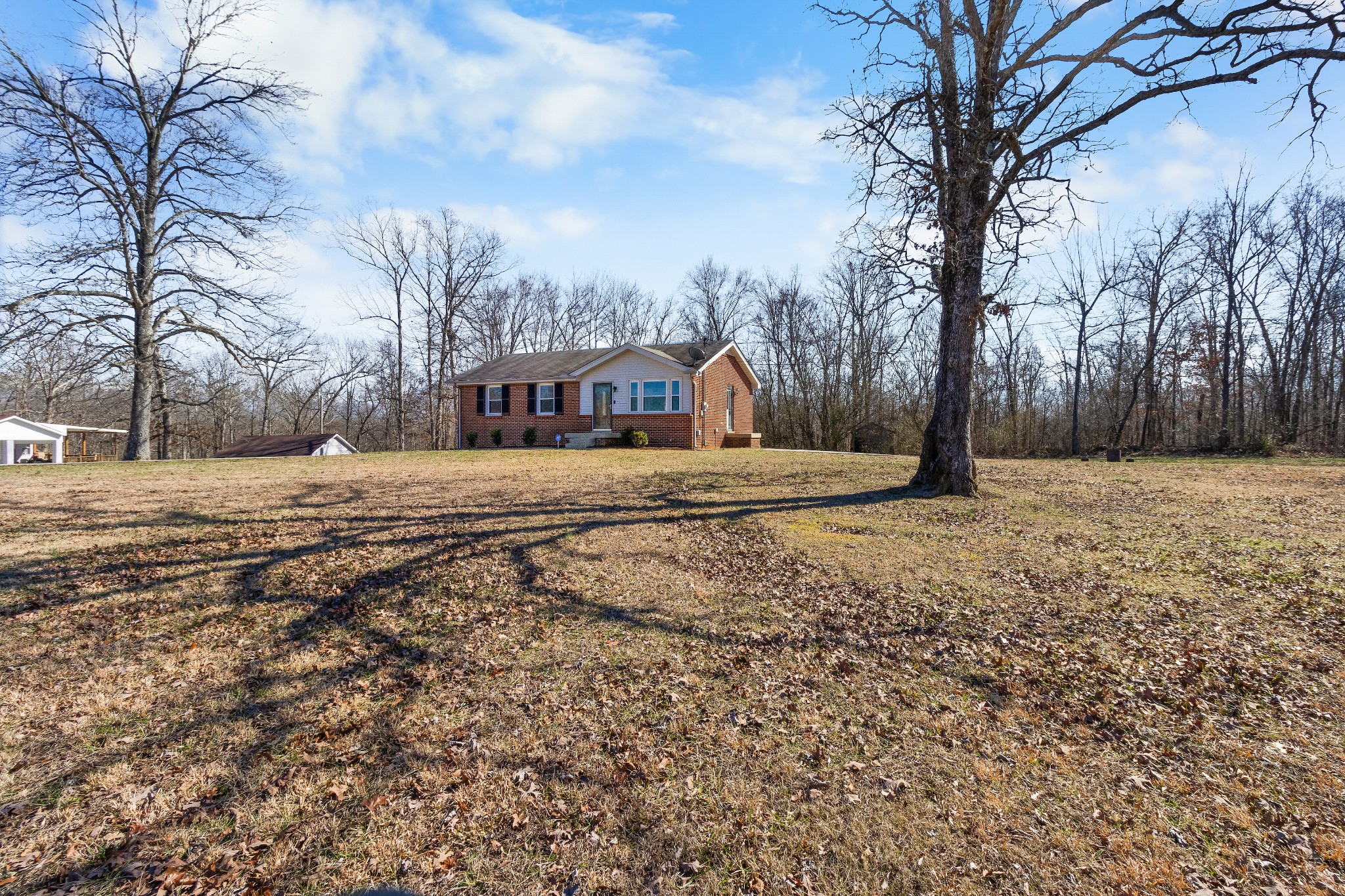 1402 Southside Road Southside, TN 37171 - Photo 5 of 24 a view of dirt yard with a large tree