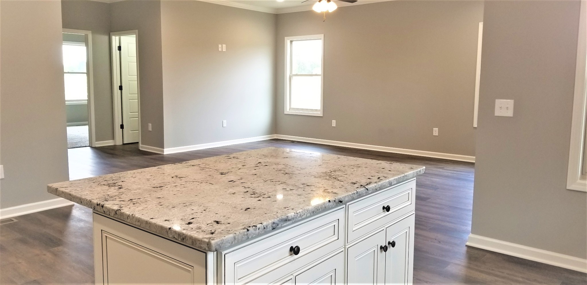 4165 Pyles Road Chapel Hill, TN 37034 - Photo 5 of 22 Gallery Image 5