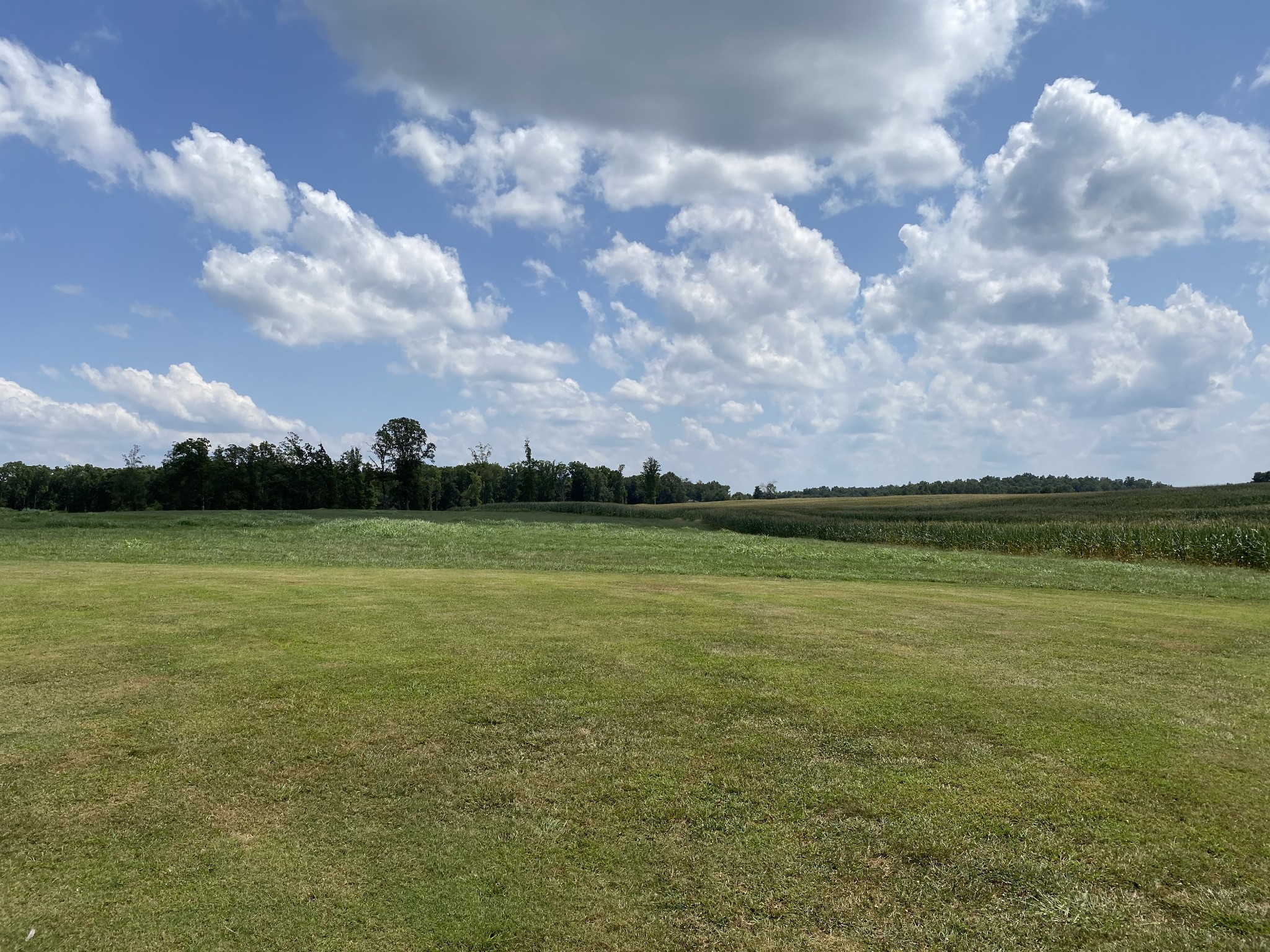 75 Glendale Road Loretto, TN 38469 - Photo 41 of 50