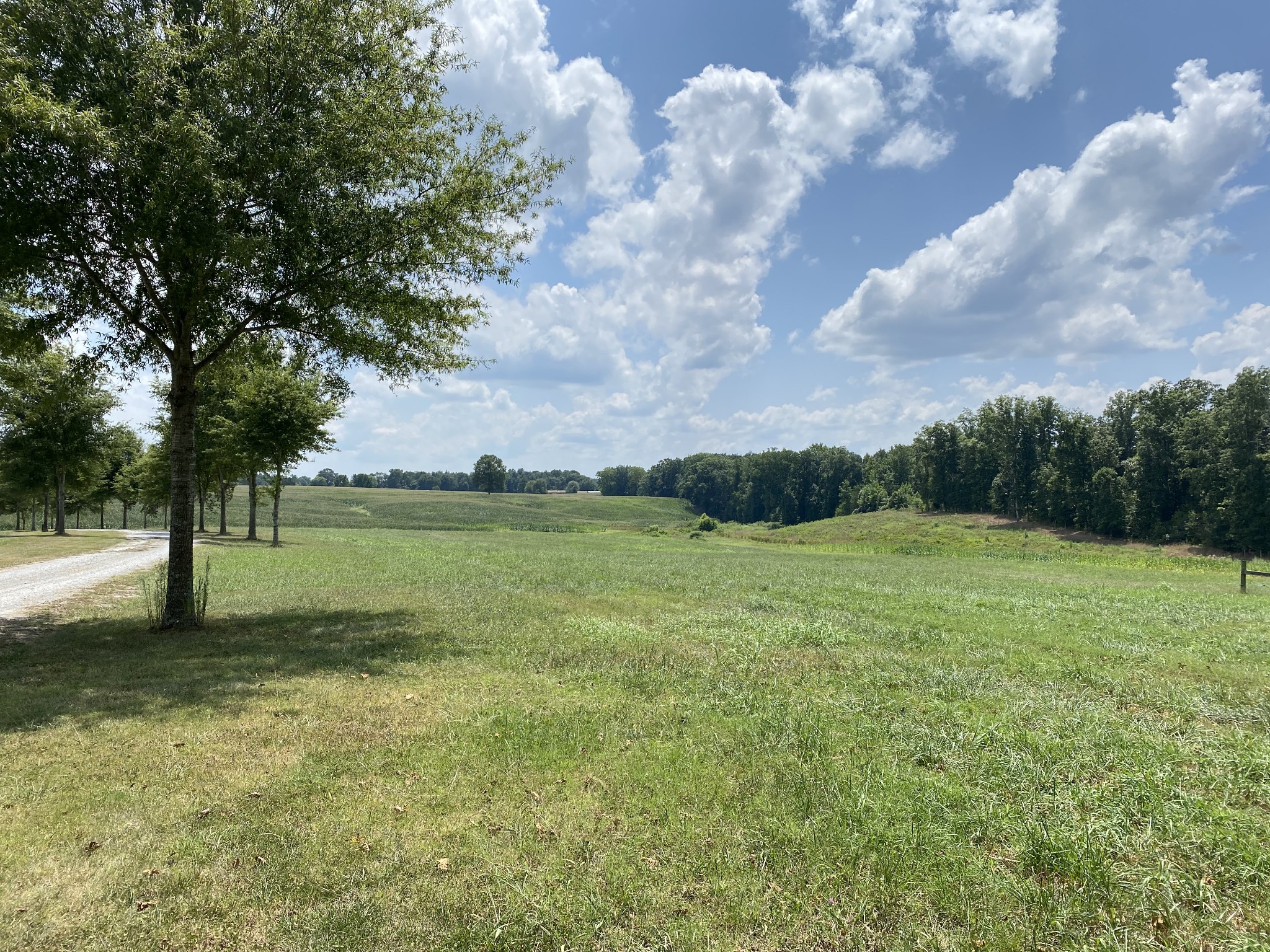 75 Glendale Road Loretto, TN 38469 - Photo 42 of 50
