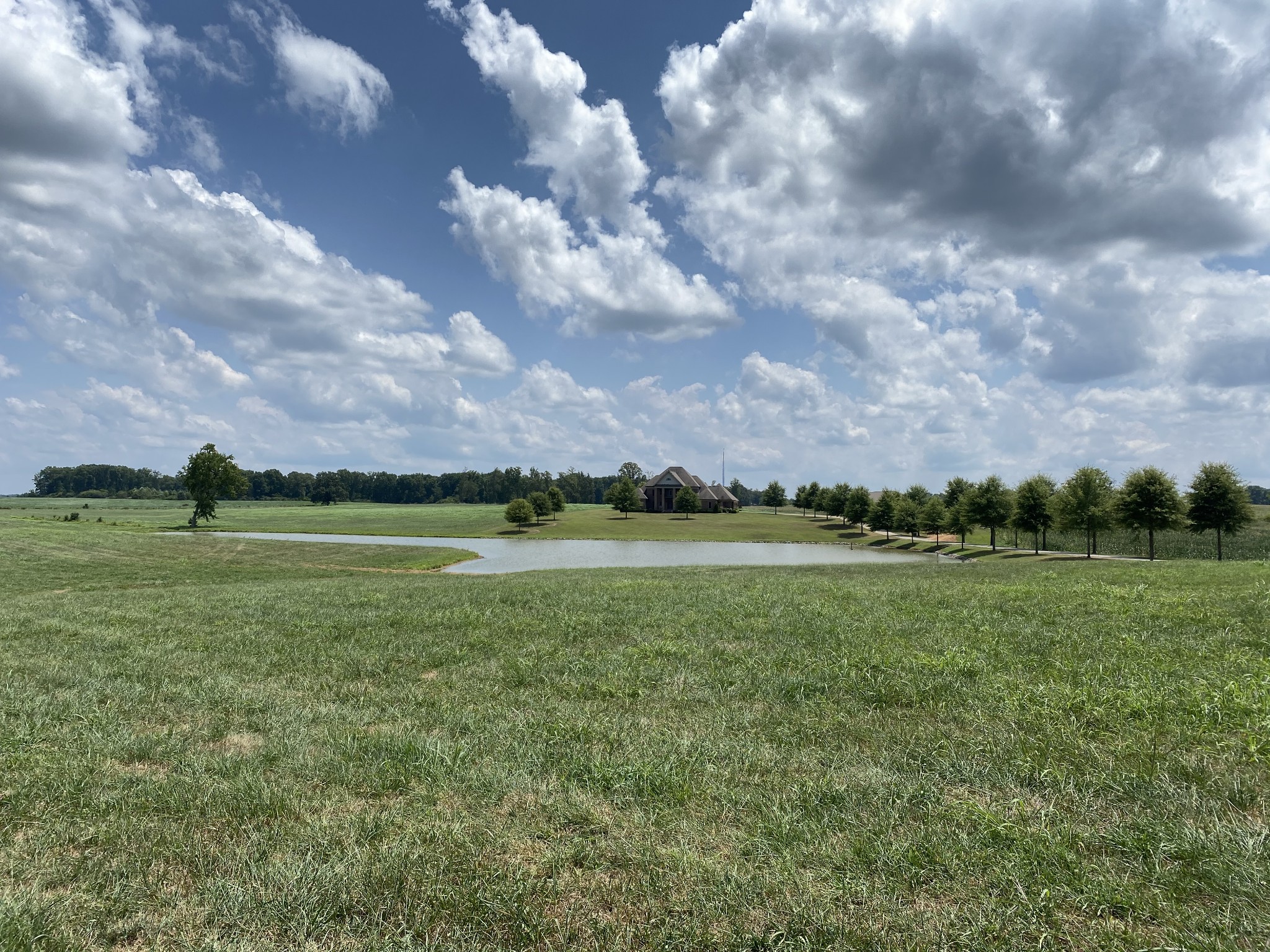 75 Glendale Road Loretto, TN 38469 - Photo 43 of 50